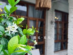 -Jo's Garden