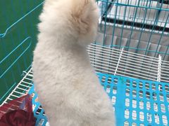 -方恒购物中心(望京小街店)