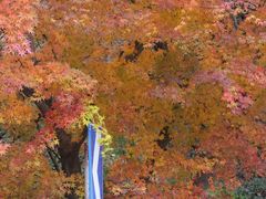 -崂山九水游览区