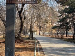 -北陵公园