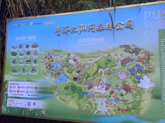 -普洱太阳河森林公园
