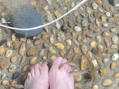 -融汇温泉