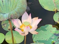 -星巴克臻选(广州二沙岛文立方店)