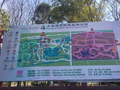 -上海海湾国家森林公园