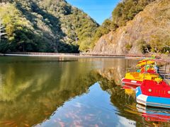 -龙湾潭国家森林公园