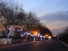 -太阳岛度假酒店