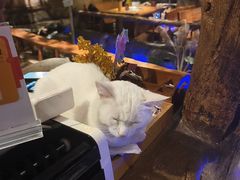 -城墙拐拐火锅(三峡广场黑金冠店)