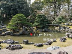 贺茂三石-醍醐寺
