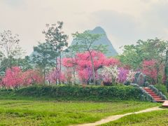-靖西鹅泉风景区