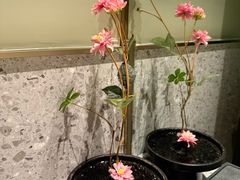 -宴长沙(五一广场店)