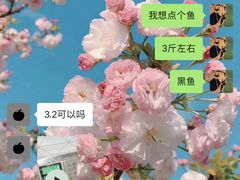 -褒河栈道渔庄(建工路总店)