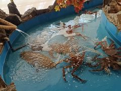 -耕海蟹将军(万象城店)