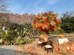 -HERRE·FARM 赫尔露营农场·团建聚会包场