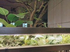 -福苗小骆驼烧烤(中关村店)