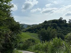 -黄埔油麻山森林公园