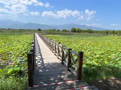 -野鸭湖国家湿地公园