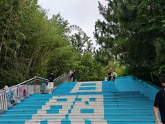-日照海滨国家森林公园
