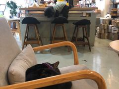 大堂-唐咖精品咖啡(大理古城手冲店)