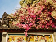 -深圳国际园林花卉博览园