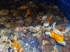 -健眺小海鲜(临海后山店)