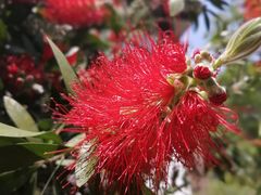 -桤木河湿地公园