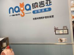 -纳吉亚猫专科动物诊疗中心(蒋宅口分院)