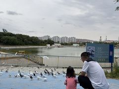 -水上乐园·欢乐世界