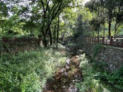 -素山寺森林公园