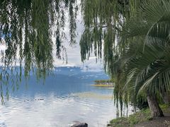 -西昌邛海湿地