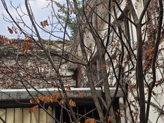 -villaa·别墅·融合菜西餐厅