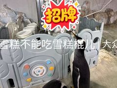 -大连圣亚海洋世界