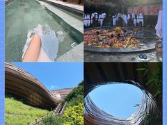-紫藤园·天目湖大鱼头(南山竹海店)