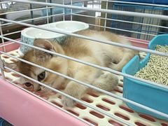 -宠爱我(南山店)