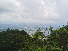 -梧桐山风景名胜区