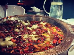 -雲蜀龙阁·金牌水煮鱼(方庄店)