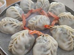-小叶大馅饺子城