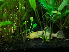 -上海海洋水族馆