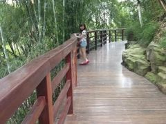 -百林公园-两江幸福广场