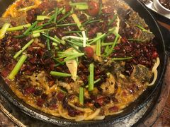-老板恋上鱼(高新万达店)