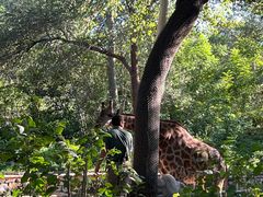-北京野生动物园