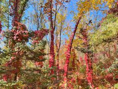 -水上乐园·欢乐世界