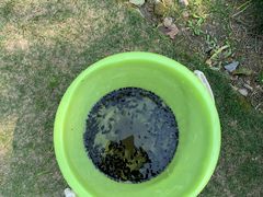 -杭州城北体育公园