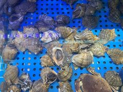 -前王院•巧克力海鲜市集餐厅(万平口店)