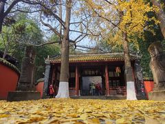 -成都武侯祠博物馆