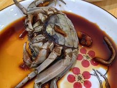 -红灯笼龙凤饭店(宁波老字号店)