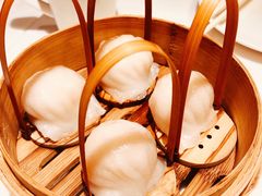 招牌虾饺皇-金鼎轩·滋养小餐馆(联想桥店)