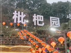 -枇杷园食为鲜火锅(南山店)