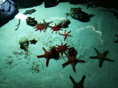 -福州罗源湾海洋世界旅游区