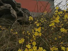 -郭守敬纪念馆