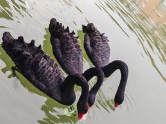 -湖泉半山温泉(湖泉生态园)